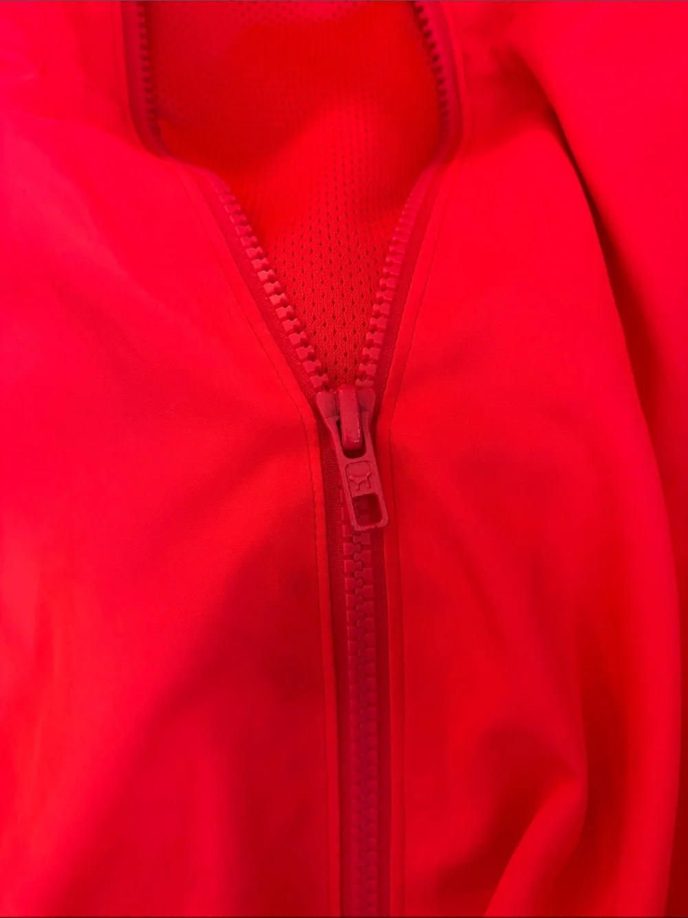 PINK Victorias Secret lightweight hooded